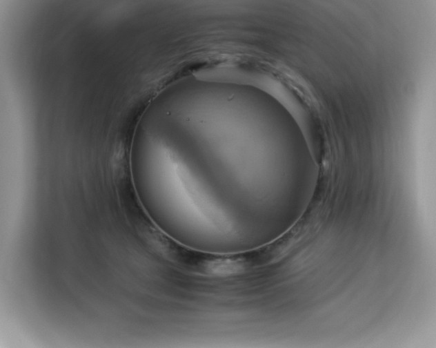 X0000113110465200908281412