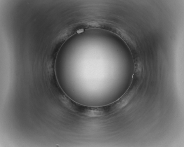 X0000113110466200908281412