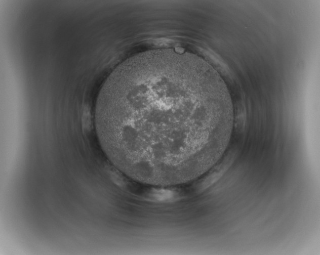X0000113110469200908281412