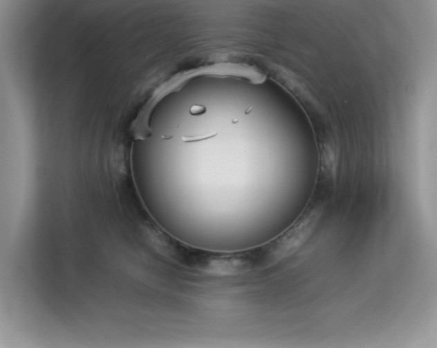 X0000113110470200908281412