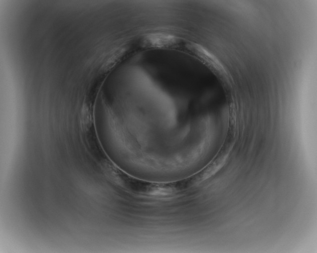 X0000113110471200908281412