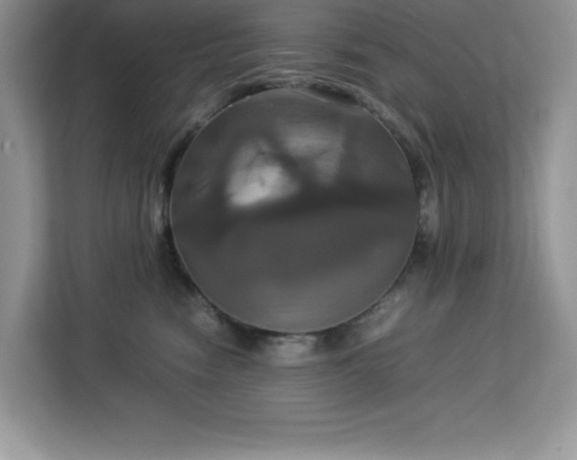 X0000113110474200908281412