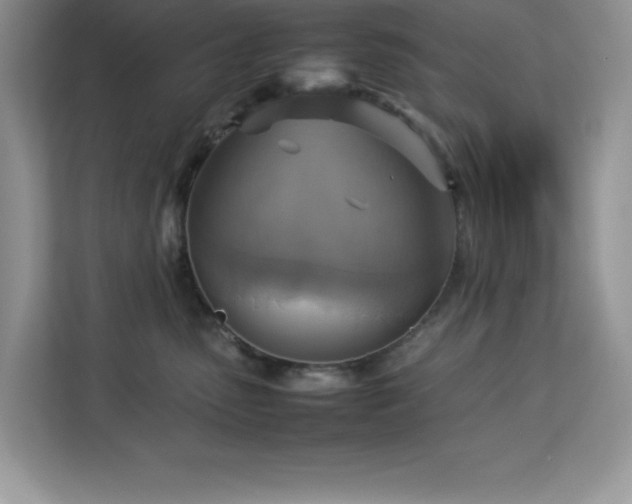 X0000113110475200908281412
