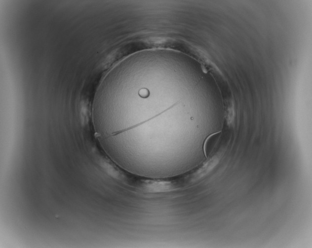 X0000113110476200908281412