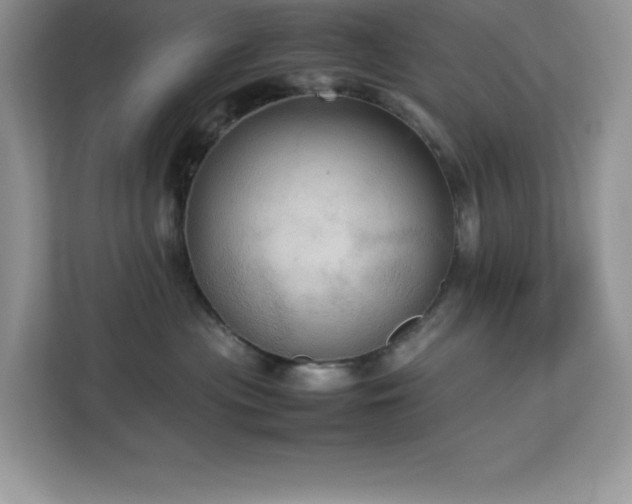 X0000113110477200908281412