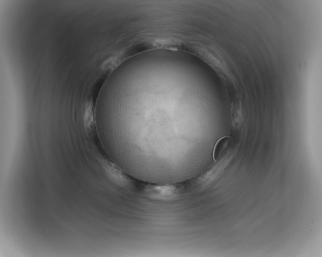 X0000113110478200908281412