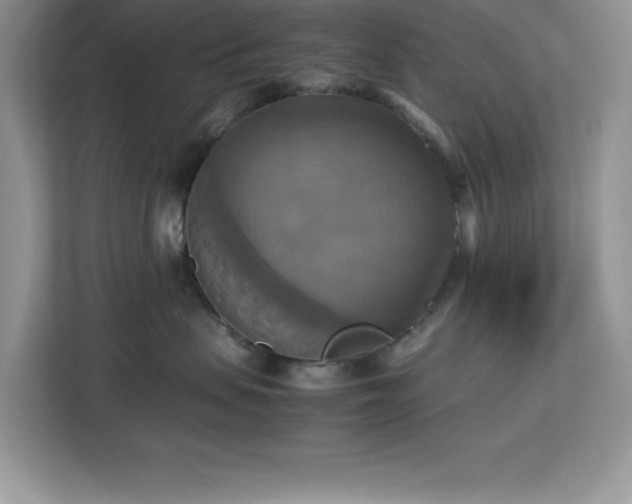 X0000113110479200908281412