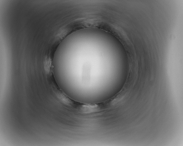 X0000113110480200908281412
