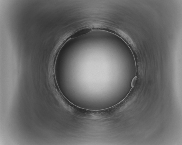 X0000113110481200908281412