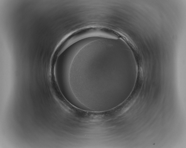 X0000113110484200908281412