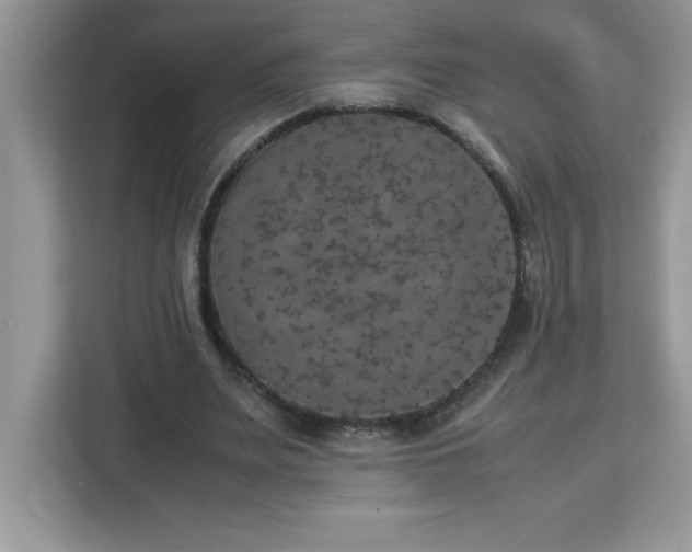 X0000113110487200908281412