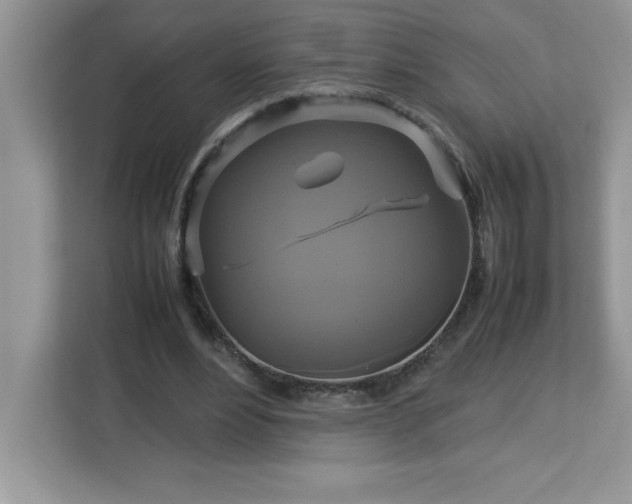 X0000113110488200908281412
