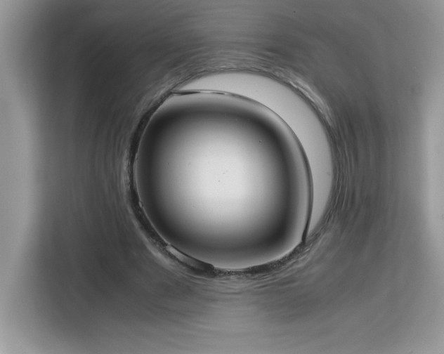 X0000113110489200908281412