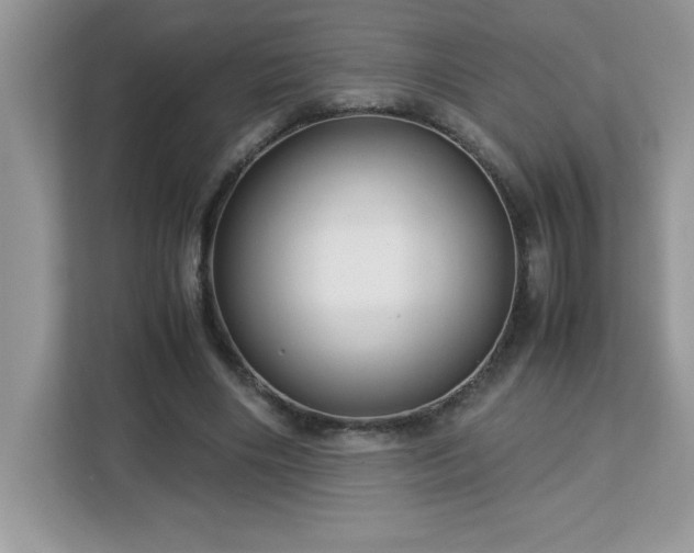 X0000113110490200908281412