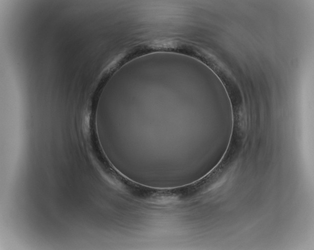 X0000113110491200908281412
