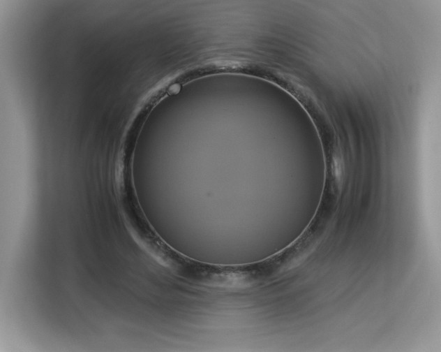 X0000113110492200908281412