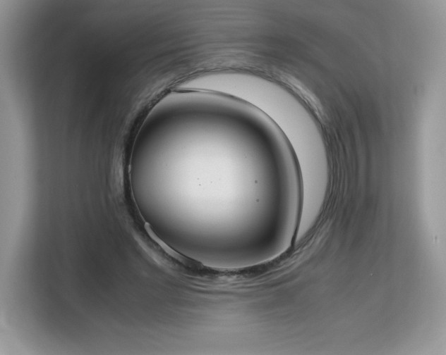 X0000113110493200908281412