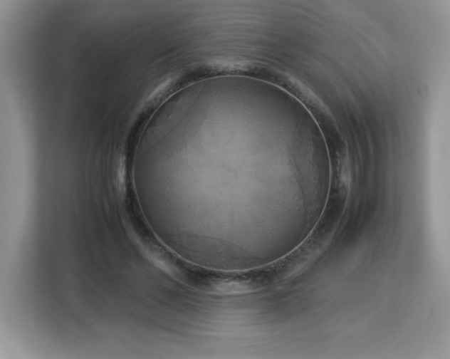 X0000113110494200908281412