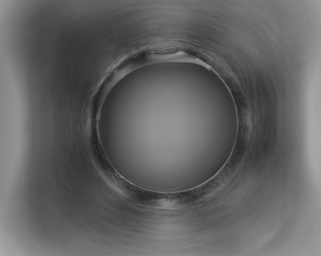 X0000113110496200908281412