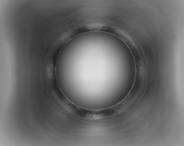 X0000113110498200908281412