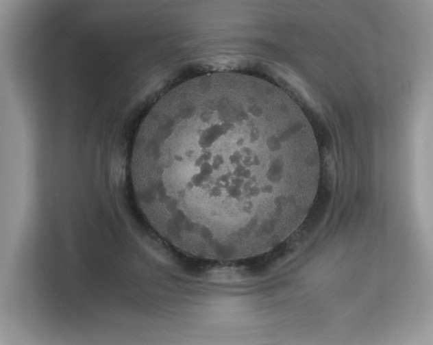 X0000113110499200908281411