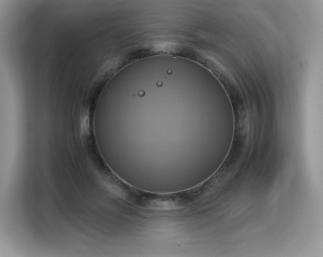 X0000113110502200908281411