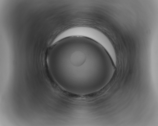 X0000113110504200908281411