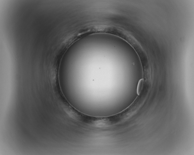 X0000113110505200908281411