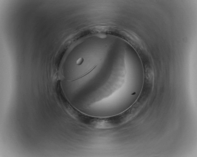 X0000113110507200908281411