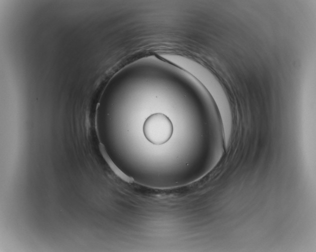 X0000113110508200908281411