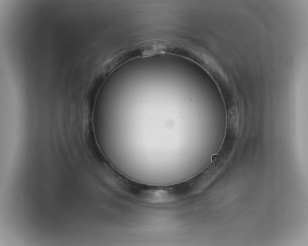 X0000113110509200908281411