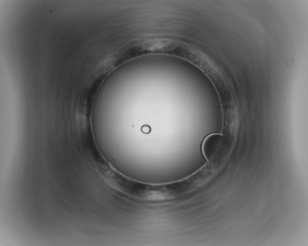 X0000113110510200908281411