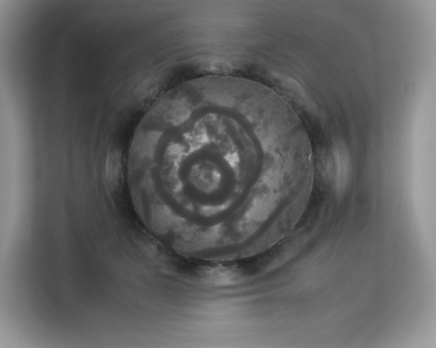 X0000113110511200908281411