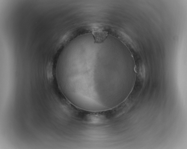 X0000113110512200908281411
