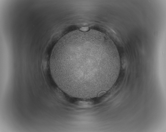 X0000113110515200908281411
