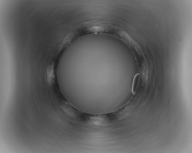 X0000113110516200908281411