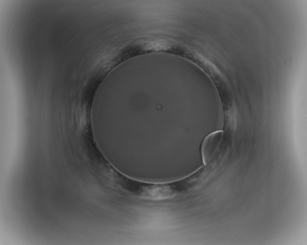 X0000113110517200908281411