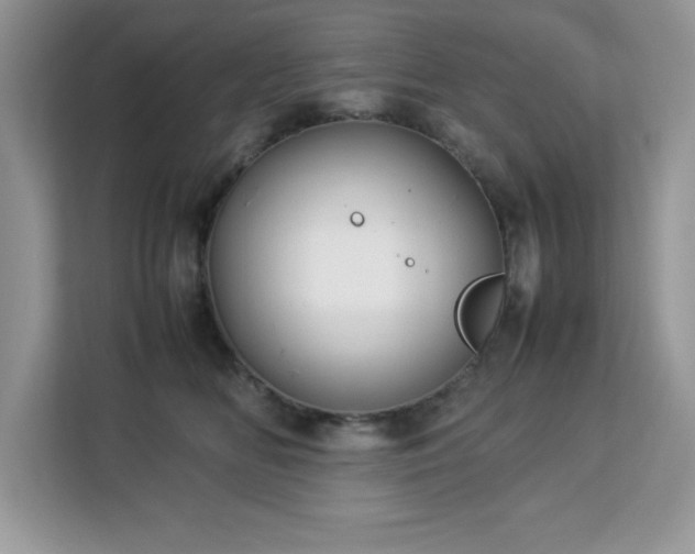 X0000113110518200908281411