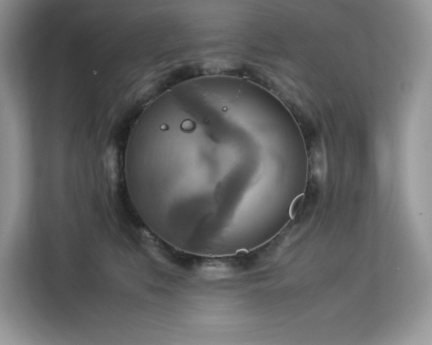 X0000113110519200908281411