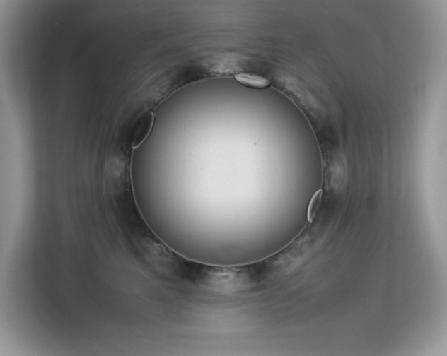 X0000113110521200908281411