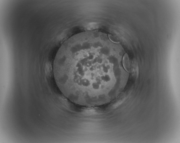 X0000113110523200908281411