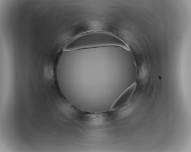 X0000113110524200908281411