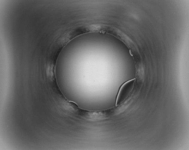 X0000113110525200908281411