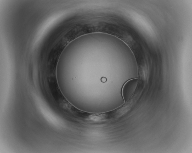 X0000113110526200908281411