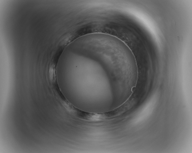 X0000113110527200908281411