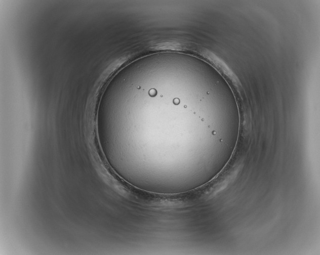 X0000113110529200908281410