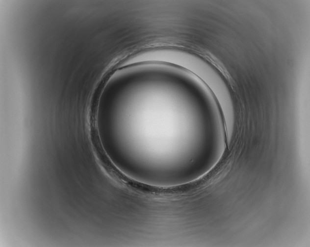 X0000113110530200908281410