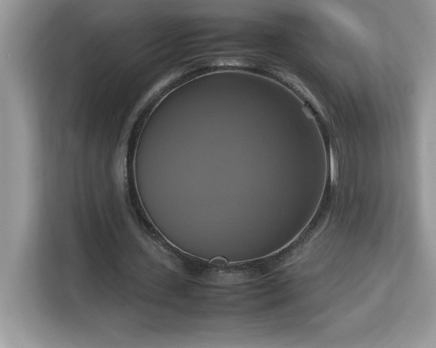 X0000113110531200908281411