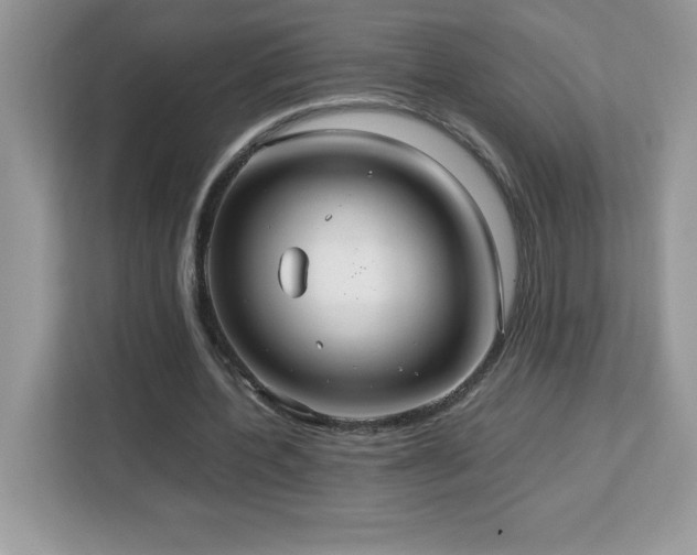 X0000113110532200908281411