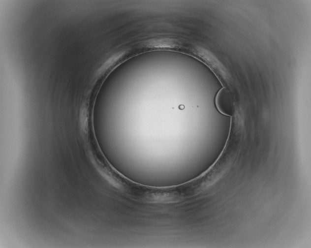 X0000113110533200908281411